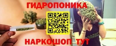 Альфа ПВП Сланцы