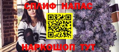 Альфа ПВП Сланцы